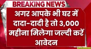 Vridha Pension Yojana